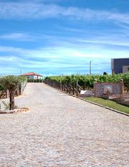 ADEGA "VINHOS CASTRO" Voucher (Visita + Deg. 2 Vinhos)