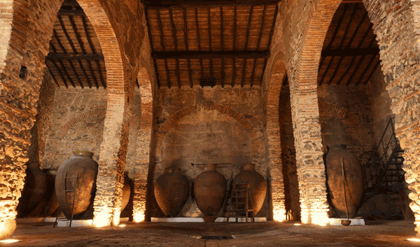 Cella Vinaria Antiqua