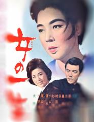 A VIDA DE UMA MULHER