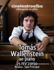 Tomás Wallenstein