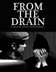 From the Drain + Shivers