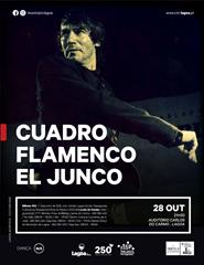 Cuadro Flamenco El Junco