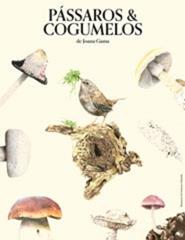 Pássaros e Cogumelos de Joana Gama