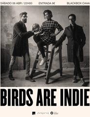 BIRDS ARE INDIE