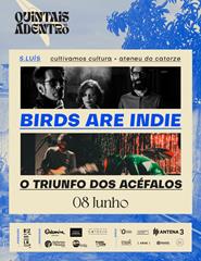 QUINTAIS ADENTRO [São Luís]  //  08 JUN  //  BIRDS ARE INDIE :: OTDA