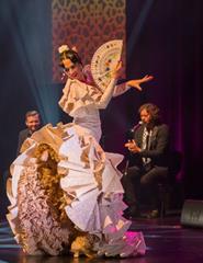 SON DE CÁDIZ Cuadro Flamenco