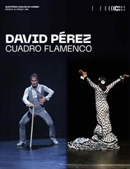 Cuadro Flamenco - David Pérez