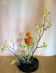 IKEBANA COM KENZAN