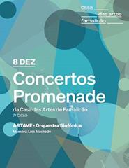 ARTAVE | Orquestra Sinfónica