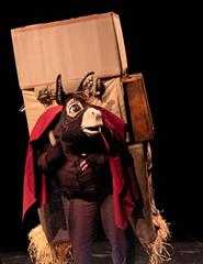 "CAMINHO DO BURRO" |  Teatro de Marionetas