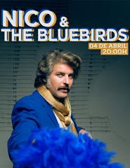 Nico & the Bluebirds