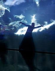 OSP | CONCERTO DE HALLOWEEN