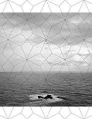 Coral dos Corpos sem Norte