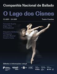 O Lago dos Cisnes