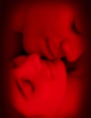 COMPANHIA DE TEATRO DE BRAGA | ROMEU E JULIETA