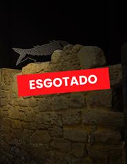 GALERIAS ROMANAS - PERCURSO ATÉ À CASA DOS BICOS