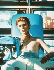 The Man Who Fell to Earth