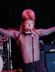 Ziggy Stardust and the Spiders from Mars