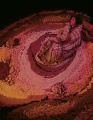 Cordão por Fértil Cultural