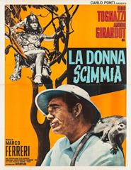 cartaz