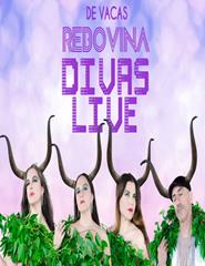 De Vacas - Rebovina Divas Live