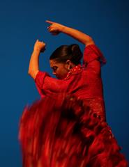 22º FESTIVAL FLAMENCO DE LAGOS 12 setembro