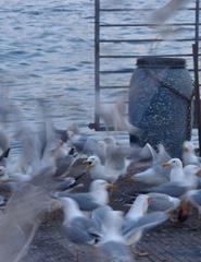 UM JULGAMENTO | CHRISTIANE JATAHY E WAGNER MOURA