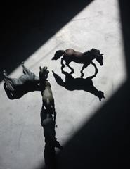 Bright Horses, de Carminda Soares e Maria R. Soares | Projeto CASA