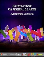 DIFERENCIARTE - XIII FESTIVAL DE ARTES