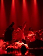O Lago dos Cisnes, pelo Teatro do Vão