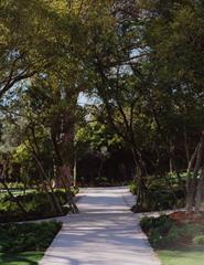 Botanical Walk | Passeio Botânico