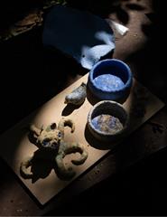 Bio-Ceramics | Bio-Cerâmica