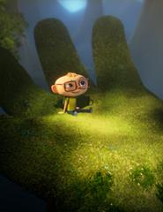 Into the Wonderwoods