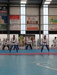 Taekwondo Defesa Pessoal & Freestyle | curso para familias