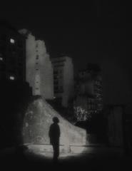 Doclisboa2025 - Competição Internacional | The Night is Fading Away
