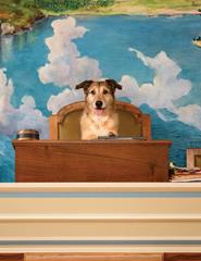 O PROCESSO DO CÃO | 26ª FESTA DO CINEMA FRANCÊS