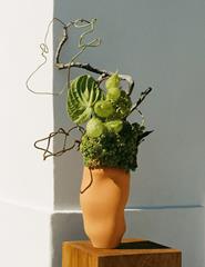 Ikebana