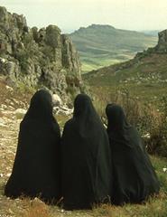 CINECLUBE | Rosa de Areia