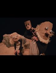 Frank - Teatro com Marionetas