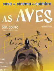 cartaz