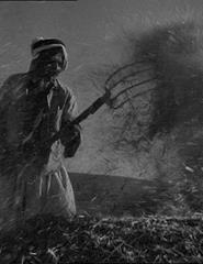 Porto/Post/Doc'25 — 2 Pasolini+Quantidade Desconhecida