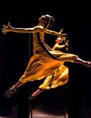 A Sagração da Primavera + filme La Valse