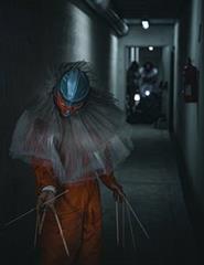 EU QUERO É ANDAR DE CARRINHOS DE CHOQUE