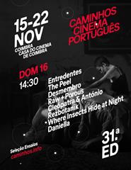 CCP 31 - Seleção Ensaios - Sessão #1