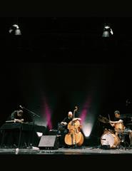 Rapid Zen + Zénite Azul