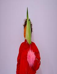 Montar Corpo . Letícia Maia . Artistas Douro