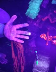 Projeto Curumim - "As Cores no Escuro – Néon"