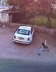 It’s a Long Way from Amphioxus + An Unusual Summer