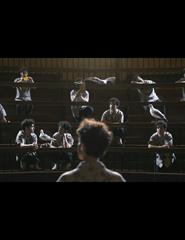 Só Mais Uma Gaivota