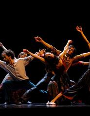 AmarAmália | Companhia Portuguesa de Bailado Contemporâneo
